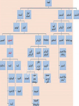 شاهد مخطط تاريخي يوضح انبثاق المسيحية والإسلام من الديانة اليهودية الأم Freethinker مفكر حرfreethinker مفكر حر